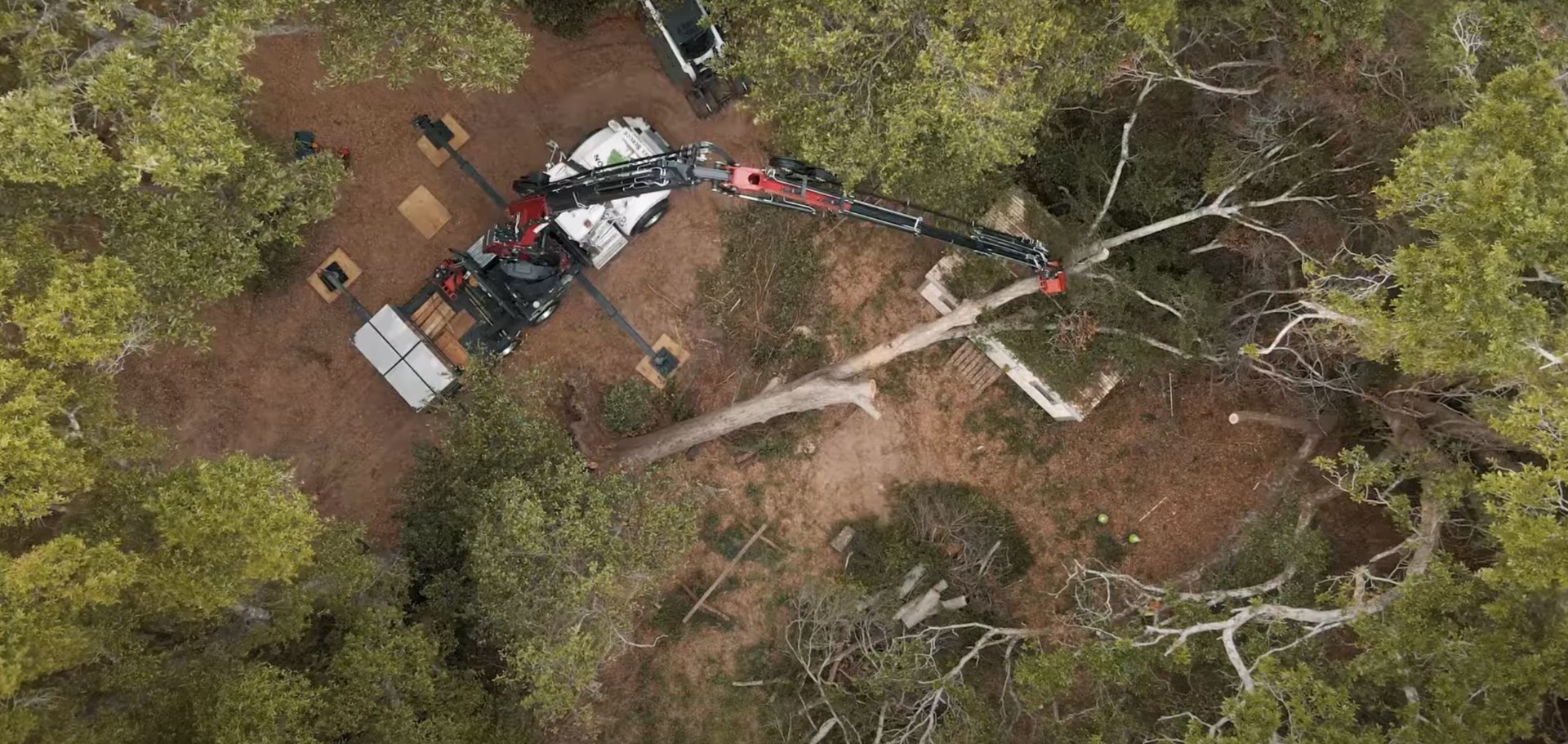 Large Scale Tree Removal - Professional Equipment and Expertise Aerial view of professional tree removal operation with crane and specialized equipment