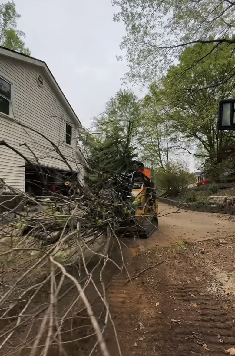 Emergency Tree Removal - Storm Damage Cleanup Services Safe tree removal process showing professional equipment and techniques after storm damage