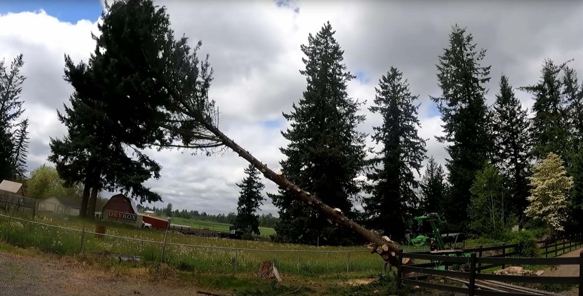 Emergency Tree Removal - Crane-Assisted Tree Services Crane and tree service equipment removing large fallen tree from residential property