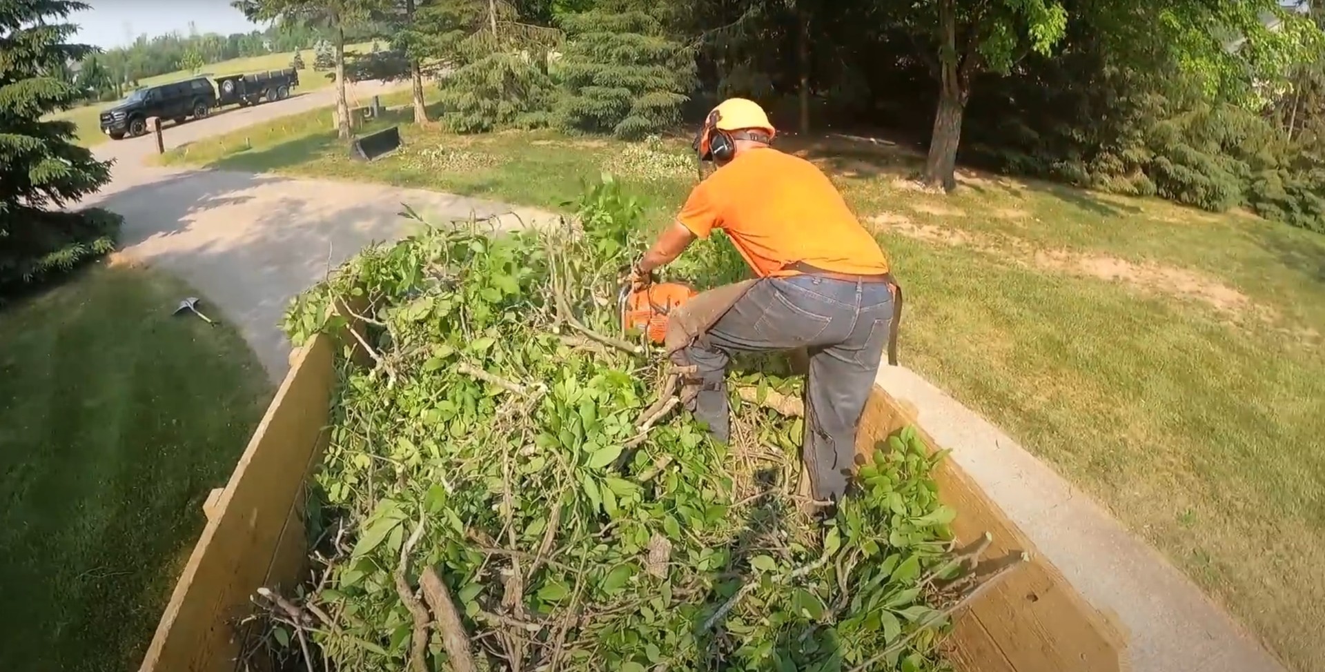 Fall Tree Maintenance - Preventing Winter Storm Damage Fall tree maintenance work showing professional stump removal and cleanup services