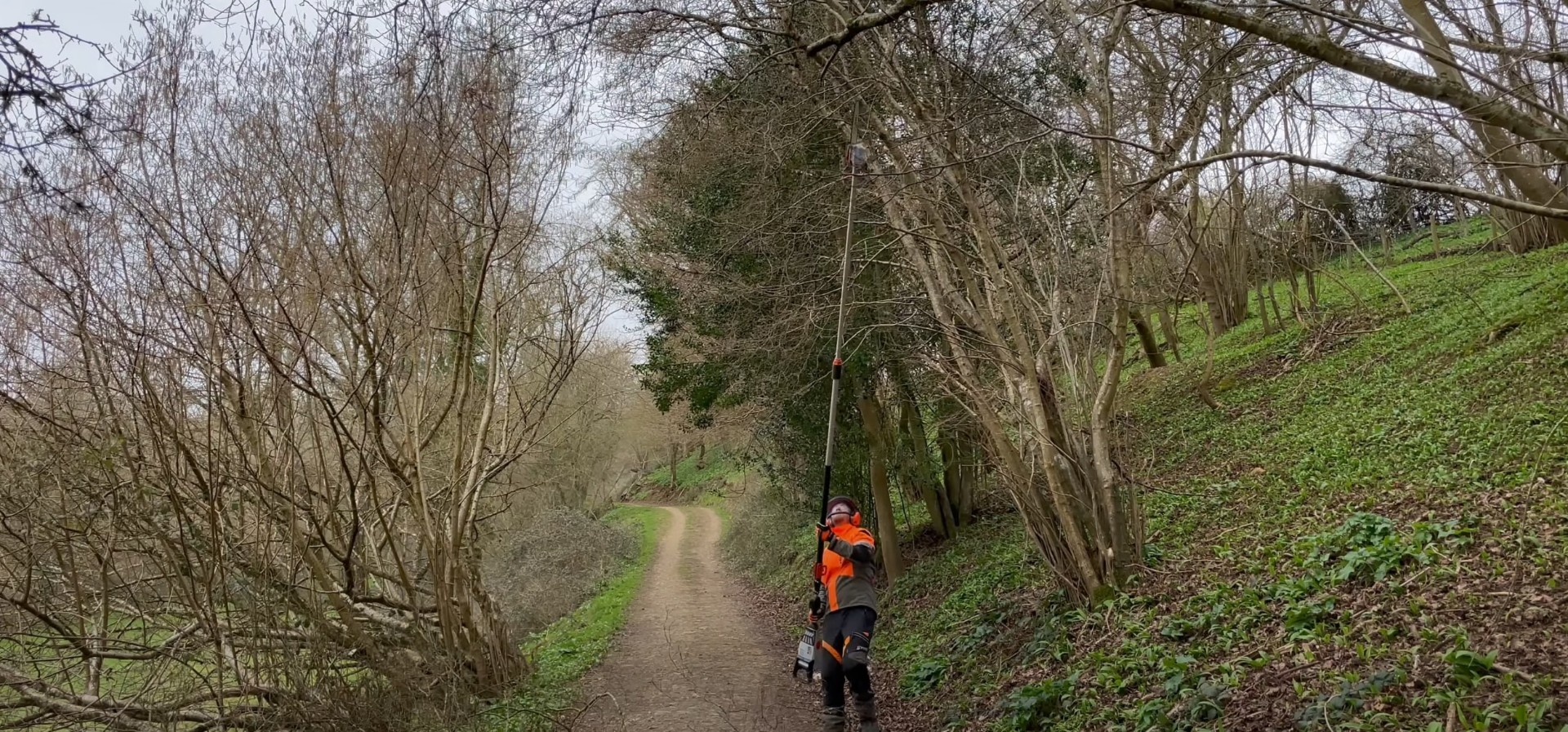 Professional Tree Trimming - Trail Maintenance Services Tree service professional using chainsaw for precise tree trimming on hiking trail