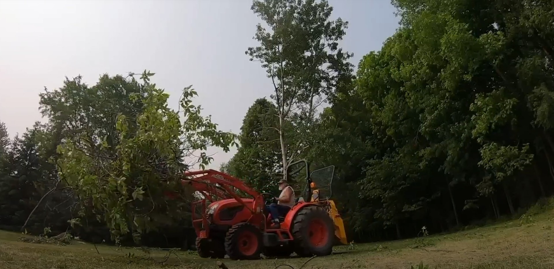 Land Clearing Services - Commercial Tree Removal Heavy machinery and equipment clearing trees for land development project
